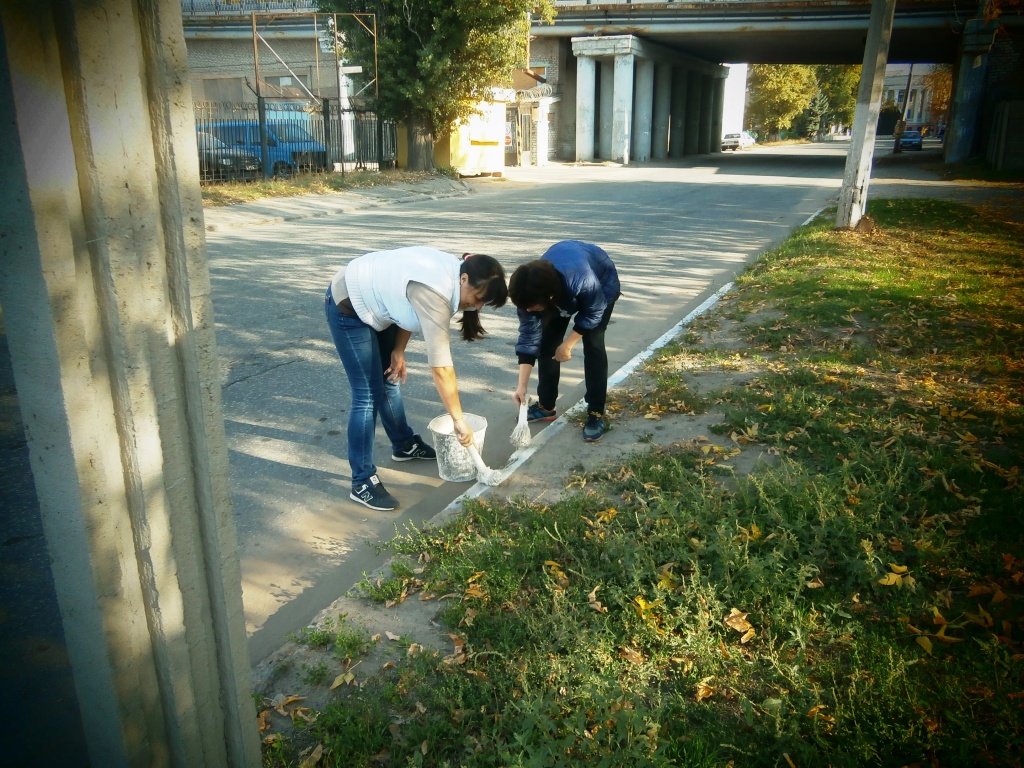 PA190433.JPG PA190433.JPG