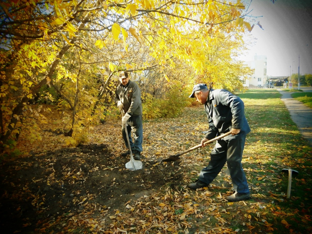 PA190420.JPG PA190420.JPG