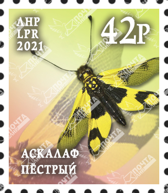 Группа 2 копия 92.jpg